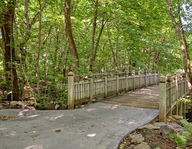 Minnesota Arboretum Prairie Golden Bridge