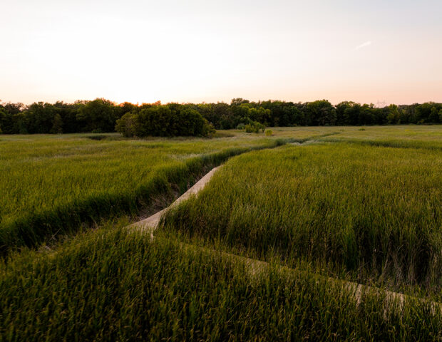 Baylor Regional Park, Norwood Young American, MN Boardwalk built by Boyer Building