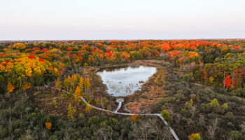 Boyer Building's boardwalk which was built for MN Landscape Arboretum