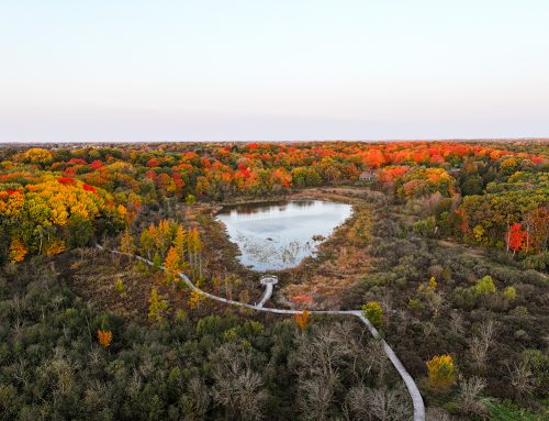 Boyer Building Shows Off its Work at the Minnesota Landscape Arboretum