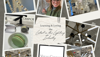 Boyer Building Designer participates in Visual Comfort Co's seminar on lighting.