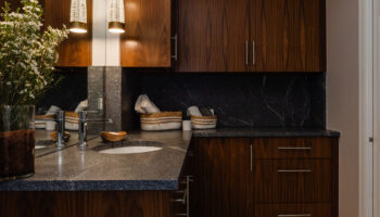 Lower Level Excelsior Guest Bathroom Remodel