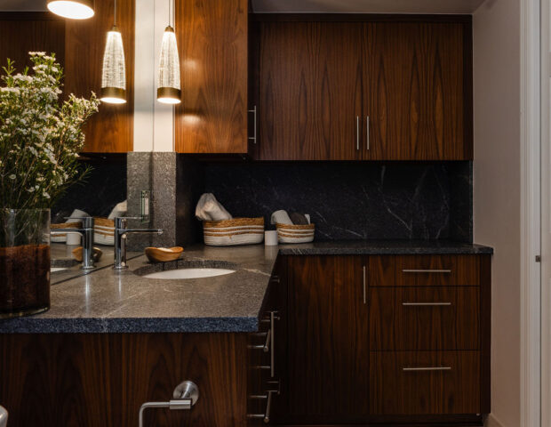 Lower Level Excelsior Guest Bathroom Remodel